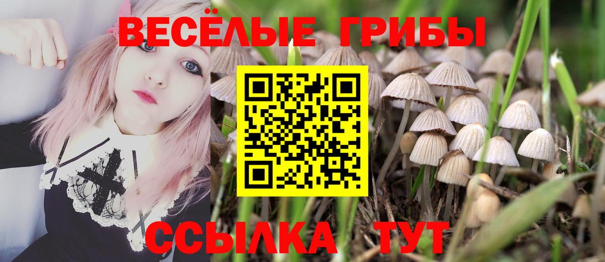 купить  сайты  Псилоцибиновые грибы мицелий  Вход с VPN  Норильск 